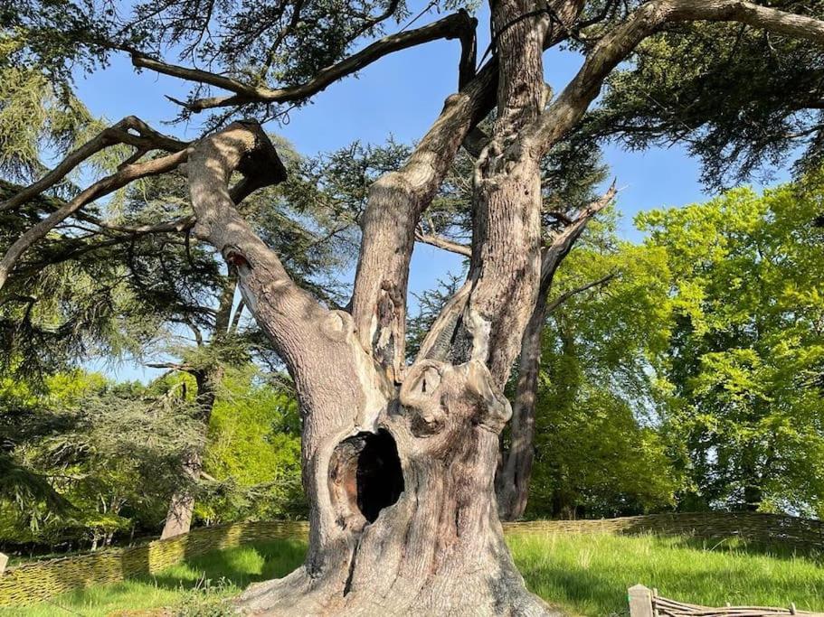Masons Cottage, An Idyllic Retreat In An Area Of Outstanding Beauty, Close To Blenheim Palace, Oxford & The Cotswolds Stonesfield Bagian luar foto